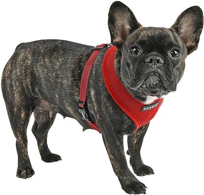 Puppia Soft Dog Harness, Wine, Medium (PDCF-AC30-WN-M)