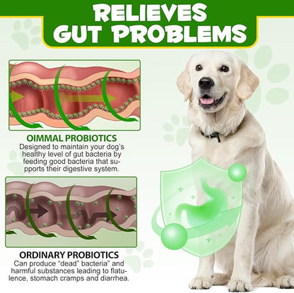 Probiotics Powder for Dogs - Pre & Probiotic Digestive Supplement with Digestive Enzymes & Prebiotics for Dog Support Gut Health, Seasonal Allergies & Immune System Dog Supplies Powder - 120 Scoops