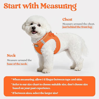rabbitgoo Dog Harness Small Medium Sized and Leash Set, Step in Soft Light Puppy Vest, Breathable Mesh Pet Harness, Reflective for Safe Easy Walking, Orange XL