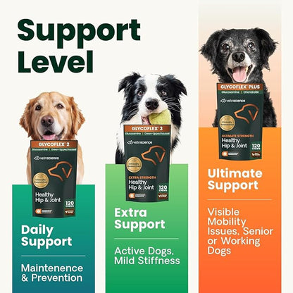 VetriScience Extra Strength Healthy Hip & Joint Chewable Tablets, GlycoFlex Glucosamine and Green-Lipped Mussel Joint Support Supplement for Dogs, Soothe Joint Discomfort, Chicken, 120 Count