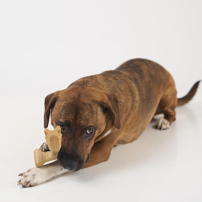SPOT Bam-Bones Plus Coffee Wood T-Bone Dog Chew Toy, Chicken Flavor, Nylon and Coffee Wood Fiber Blend, Durable Chew for Heavy Chewers and Dogs Under 60 lbs, Non-Splintering Dental Chew, 6 Inch