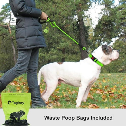 Taglory Rope Dog Leash 5 FT with Comfortable Padded Handle, Highly Reflective Threads Leash and Anti-Tangle Clip for Walking Medium Large Dogs, 1/2 inch, Green