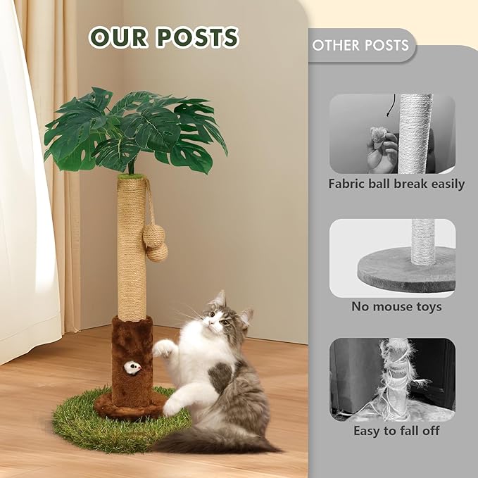 Woochpet Cat Scratching Post for Indoor Cats and Kitten - 24.8" Tall Cat Scratching Post with Sisal Rope,Palm Tree Cat Scratch Post with Hanging Ball, Small Brown
