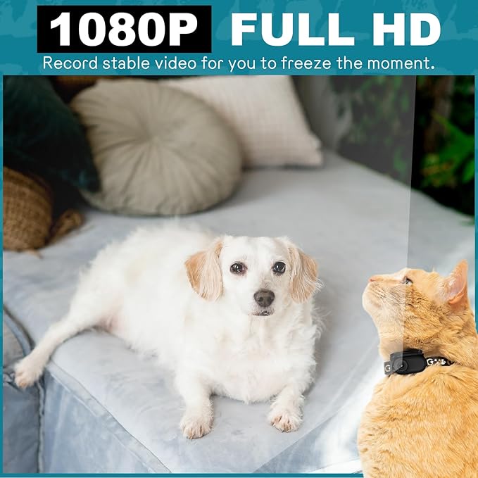 Mini Body Camera, 1080p Wearable Thumb Size Cam with Charging Case, Pet Camera, POV Cam with Motion Detection, Photo Shooting, Video Recording for Cat, Dog, Sport, Waterproof, Black