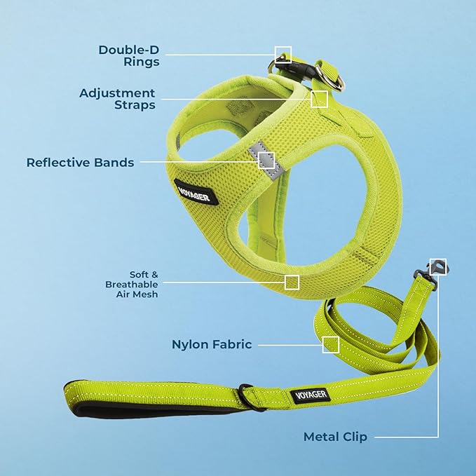 Best Pet Supplies Voyager Step-in Air All Weather Mesh Harness and Reflective Dog 5ft Leash Combo with Neoprene Handle, for Small, Medium and Large Breed Puppies - Set (Lime Green), XX-Small