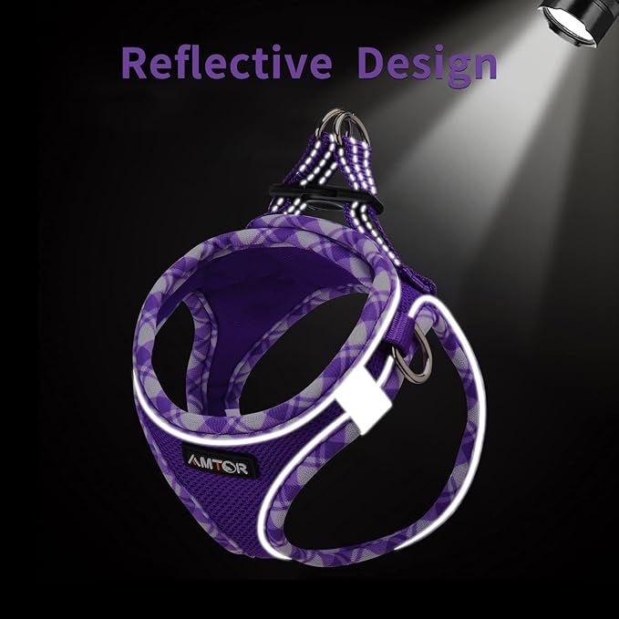 AMTOR Small Dog Harness with Leash Set, No Escape Easy Walk Puppy Harnesses for Training Walking, Step-in Reflective Soft Dogs Vest for XS S Medium Extra-Small Large Sized Dog(Purple,M)