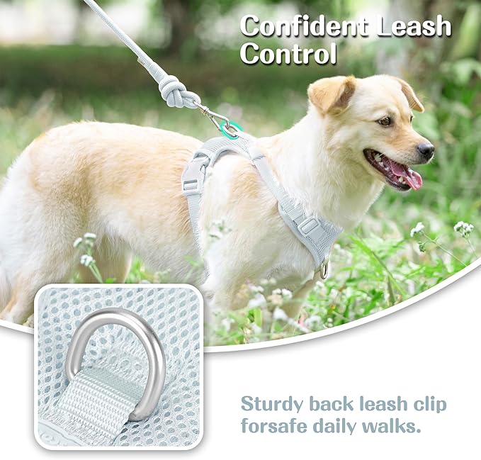 No Pull Dog Harness for Small Medium Large Dogs - Adjustable 2 Layer Mesh Dog Vest with Dual Clip, Escape Proof, Quick Release, Lightweight Breathable Mesh for Walking Hiking (Light Blue,XS)