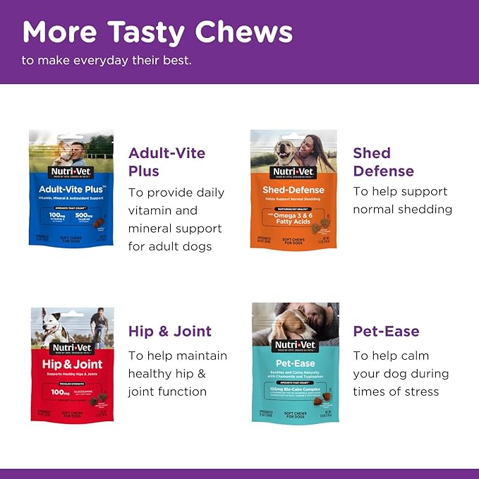 Nutri-Vet Probiotics for Dogs, Dog Probiotics for Digestive Health, Puppy Probiotics, Promotes Healthy Immune System & Gut Health, Vet Formulated, Puppy Supplies, 60 Count Capsules