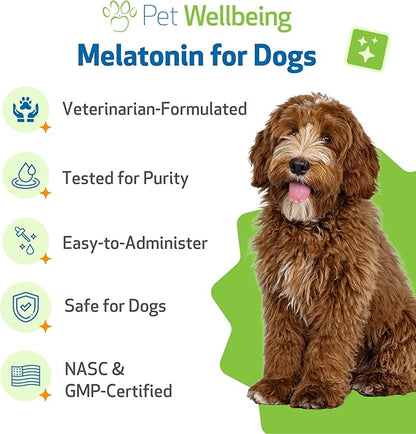 Pet Wellbeing Pet Melatonin for Dogs - Supports Adrenal Health, Cortisol Balance, Helps Maintain Normal Sleep Patterns - Veterinarian-Formulated Liquid Supplement 2 fl oz (59 ml)