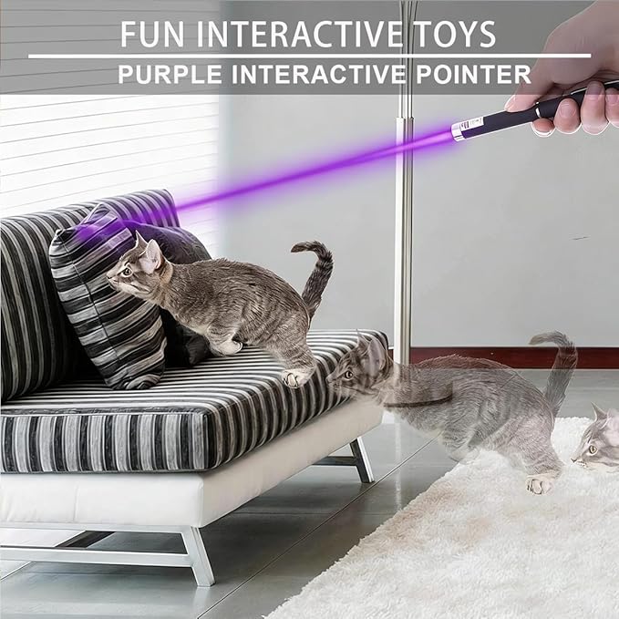 IVVTRYI 3-Pack Cat Laser Pointer - Red, Green, Purple Beams for Kitten & Puppy Play, Indoor Training Toy. Teaching/Office presentations, Stargazing, and Construction Sites. Portable.