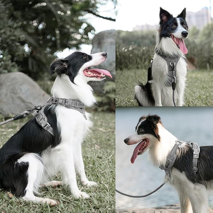 PoyPet No Pull Dog Harness and 5 Feet Leash Set, Release on Neck Reflective Adjustable Pet Vest, Front & Back 2 D-Ring and Soft Padded Pet Harness with Handle for Small to Large Dogs(Grey,S)