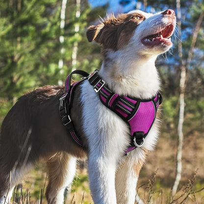 rabbitgoo Dog Harness Medium Sized, No Pull Dog Vest with 3 Buckles, Adjustable Soft Padded Pet Harness with Easy Control Handle and Reflective Strips, Purple, M