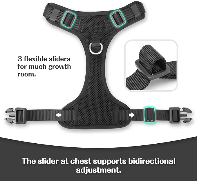 No Pull Dog Harness for Small Medium Large Dogs - Adjustable 2 Layer Mesh Dog Vest with Dual Clip, Escape Proof, Quick Release, Lightweight Breathable Mesh for Walking Hiking (Black,M)