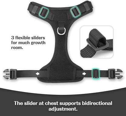 No Pull Dog Harness for Small Medium Large Dogs - Adjustable 2 Layer Mesh Dog Vest with Dual Clip, Escape Proof, Quick Release, Lightweight Breathable Mesh for Walking Hiking (Black,XL)