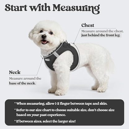 rabbitgoo Dog Harness Small Sized and Leash Set, Step in Soft Light Puppy Vest, Breathable Mesh Pet Harness, Reflective for Outdoor Safe Walking, Black XXXS