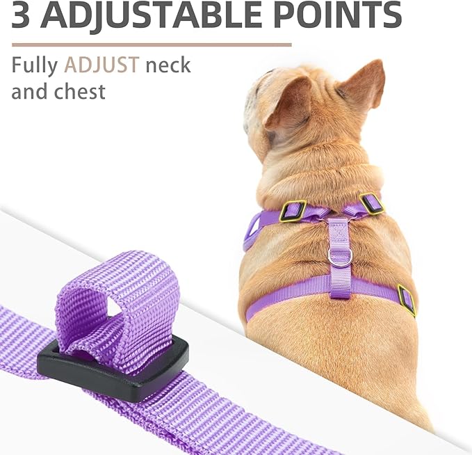 PUPTECK Small Dog Harness and Leash Set, No Pull Adjustable Puppy Cat Harness, Reflective Soft Mesh Pet Vest Small Sized, Purple, M