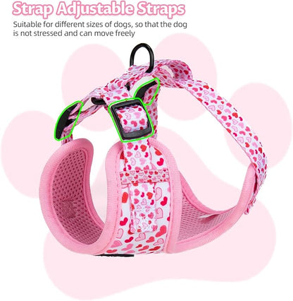 Dog Harness and Leash Set, Adjustable Dog Harness, Dog Leash, No Pull No Choke Puppy Harnesses for Walking Training for Small, Medium Pet (Little Love, S(Chest 14-19.6", Neck 10.6-13"))