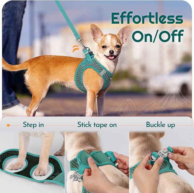 Eagloo Small Dog Harness and Leash Set, Step in Puppy Vest with Breathable Soft Mesh, Walking Reflective Pet Harness for Small Dogs, Forest Green, S