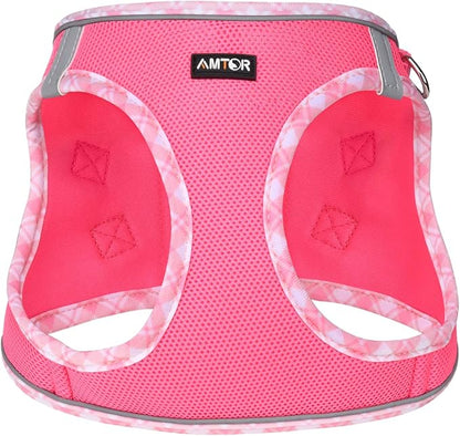 AMTOR Small Dog Harness with Leash Set, No Escape Easy Walk Puppy Harnesses for Training Walking, Step-in Reflective Soft Dogs Vest for XS S Medium Extra-Small Large Sized Dog(Fuchsia,M)