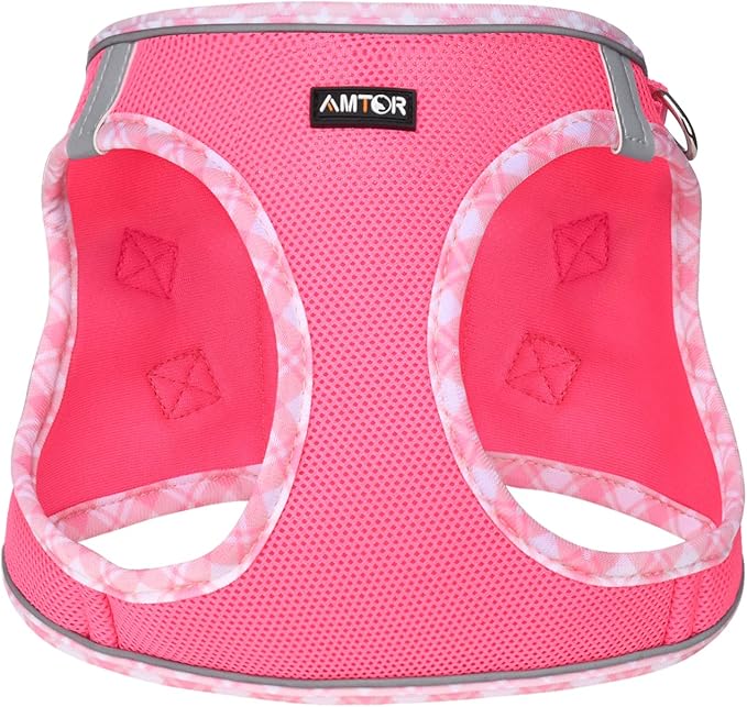 AMTOR Small Dog Harness with Leash Set, No Escape Easy Walk Puppy Harnesses for Training Walking, Step-in Reflective Soft Dogs Vest for XS S Medium Extra-Small Large Sized Dog(Fuchsia,S)