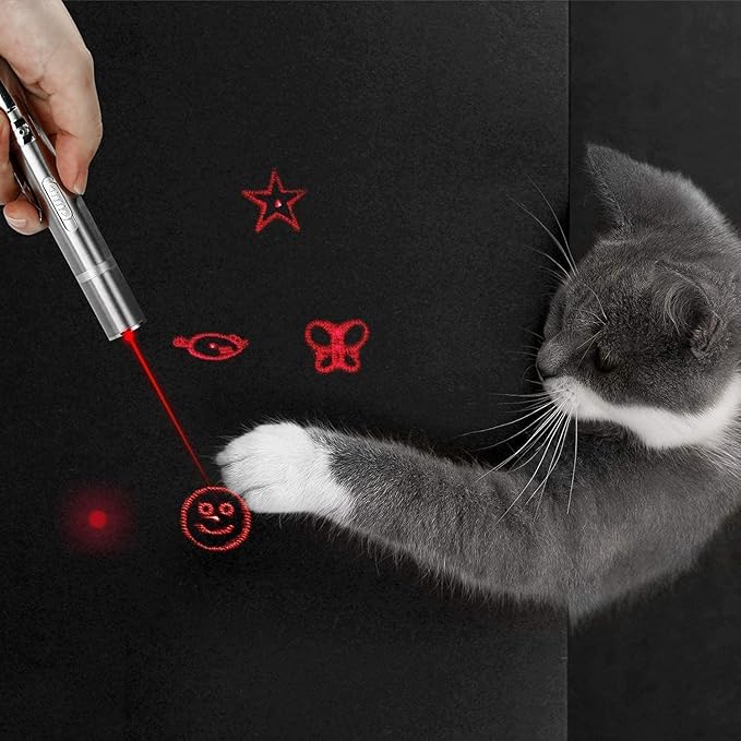 2 Pack Cat Toys Pointer Interactive Toys for Indoor Cats and Dogs, Pet Cat Catch Single Interactive Exercise Cat Training Tool with USB Rechargable