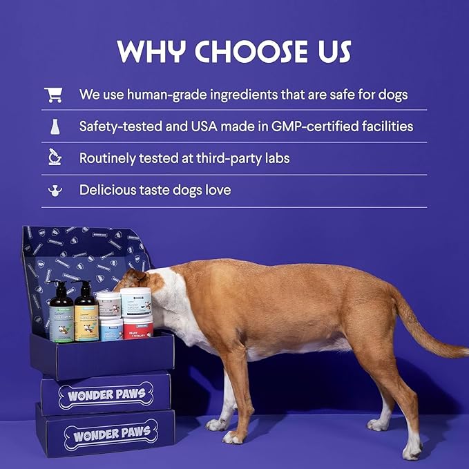 Wonder Paws Organic Turkey Tail Mushroom for Dogs – Powerful Turkey Tail for Dogs Mushroom Powder for Immunity, Respiratory, Digestion & Cellular Health–with Beta Glucans & Polysaccharides (120 g)