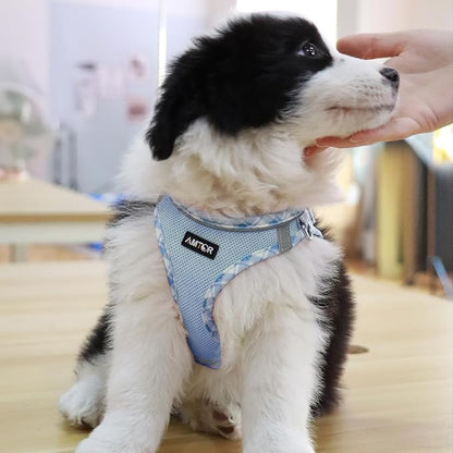 AMTOR Small Dog Harness with Leash Set, No Escape Easy Walk Puppy Harnesses for Training Walking, Step-in Reflective Soft Dogs Vest for XS S Medium Extra-Small Large Sized Dog(XXS Size,Blue/White)