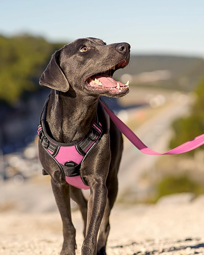 Joytale No Pull Dog Harness Medium Sized Dog, Reflective Pet Vest with Front Clip, Adjustable Soft Padded Harnesses with Easy Control Handle for Training and Walking, Pink, M