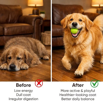 DM-01 Daily Multivitamin for Dogs - Advanced Hip & Joint Support, Boosts Immune System & Digestion, Promotes Skin, Coat & Organ System Health, Enhances Activity & Mood, 60 Chews (1)