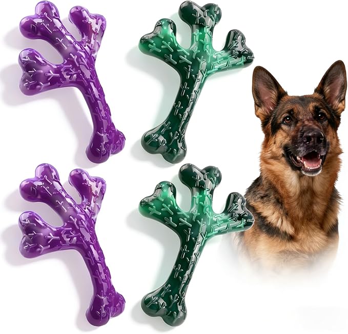 Frienhund 4 Pack (XL Cactus) Indestructible Tough Dog Toys for Aggressive Chewers: Beef Flavored Chew Bone for Large Dogs 20-90 lbs, Long Lasting & Keep Them Busy