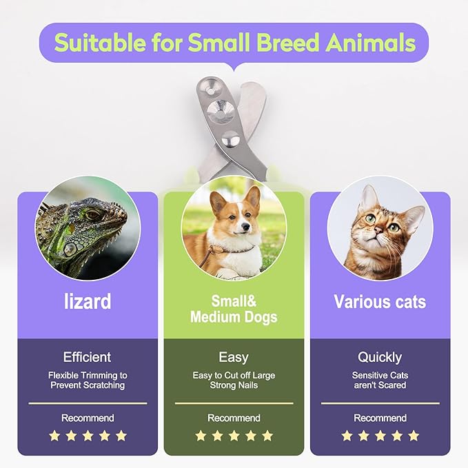 Cat Nail Clippers with Nail File, Kitten Claw Nail Clippers for Trimming, Stainless Steel Pet Bearded Nail Clippers Tool for Dragon, Guinea Pig, Rabbits, Birds, Ferret Small Breed Animals(Green/Pink)