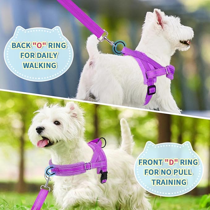 Lukovee No Pull Dog Harness and Leash Set, Soft Padded Small Dog Harness, Neck & Chest Adjustable Reflective Vest Puppy Harness with 4ft Lightweight Anti-Twist Dog Leash for Small Dogs (Purple, L)