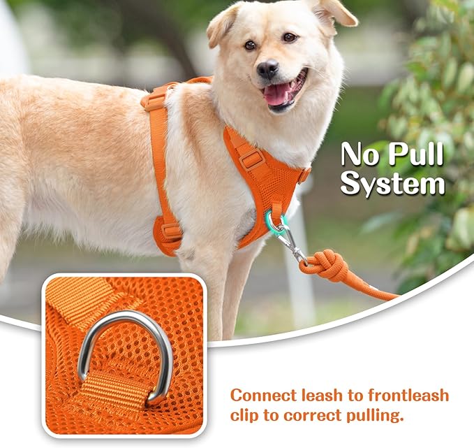 No Pull Dog Harness for Small Medium Large Dogs - Adjustable 2 Layer Mesh Dog Vest with Dual Clip, Escape Proof, Quick Release, Lightweight Breathable Mesh for Walking Hiking (Orange,L)