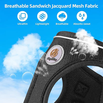 Hipubby Dog Harness and Leash Set, No Pull Soft Mesh Puppy Harness for Small Medium Dogs, Cats - Step in Adjustable Reflective Pet Harness with Buckle and Double D-Rings - Black, XS