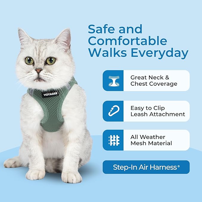 Voyager Step-in Pet Harness - All Weather Mesh, Adjustable Step in Harness for Cats and Dogs by Best Pet Supplies - 307 Set Moss Green, XS