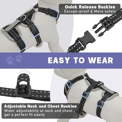 Cat Harness for Walking, Escape Proof Cat Harness and Leash Set with Reflective Strip, Adjustable Cat Leash Breathable Soft Vest for Small to Large Cats, BlackGrey, S