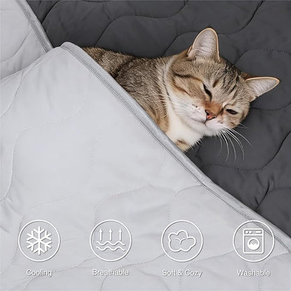 Cooling Blanket for Dogs - Q-MAX>0.4, Lightweight Pet Throw Blanket Furniture Protector, Breathable Fill and Soft Washable Cooling Mat for Summer, Grey, 40x60