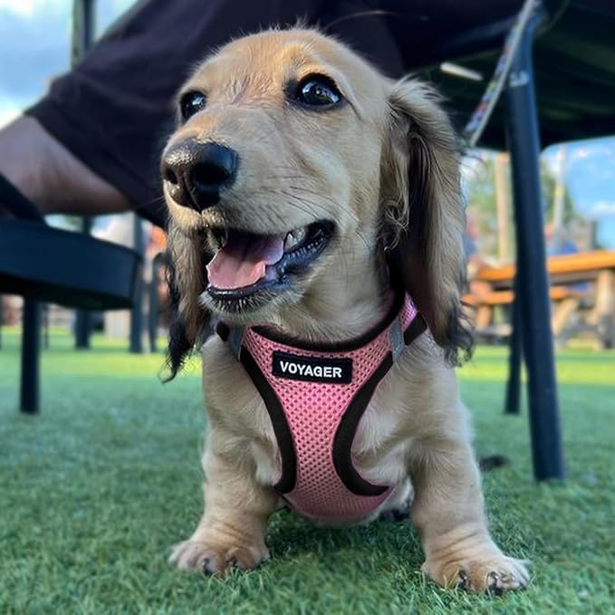 Best Pet Supplies Voyager Step-in Air All Weather Mesh Harness and Reflective Dog 5ft Leash Combo with Neoprene Handle, for Small, Medium and Large Breed Puppies - Set (Pink Base), Small