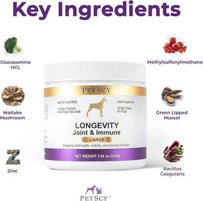 Petscy Longevity Hip & Joint + Immune Support for Dogs - Large (7.5g Chew) - High Dose Glucosamine, MSM, Chondroitin, Green Lipped Mussel, Omega 3, Probiotics - 30 Chews (Large Dogs)