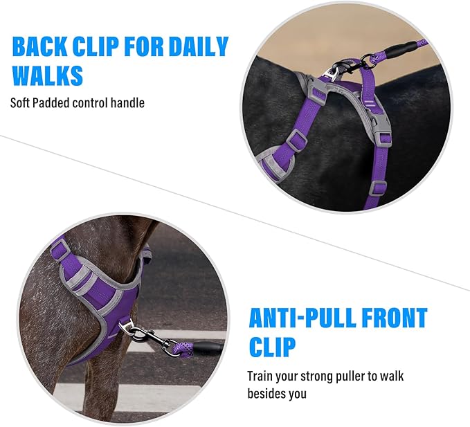 Plutus Pet No Pull Dog Harness, Release at Neck, Reflective Adjustable Dog Vest Harness, Easy Control Handle for Walking, for Small Medium Large Dogs, Purple, L