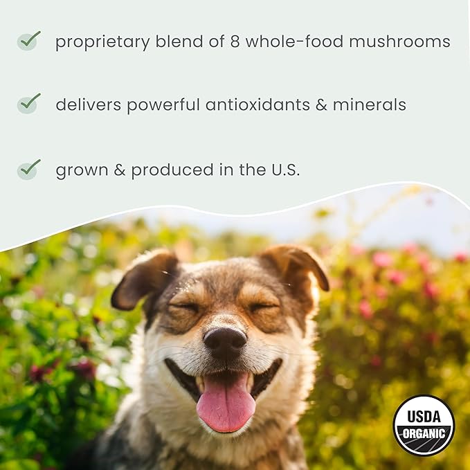 Dr. Mercola Bark & Whiskers Organic Fermented Mushroom Blend - Cat & Dog Supplement - Supports Digestive & Immune Health - Free from Additives, Filler & Gluten - 2.11 oz. (60 Scoops)