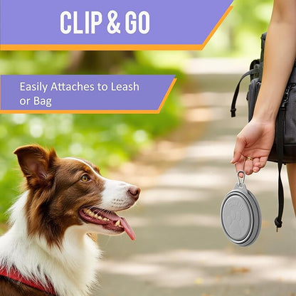 Li&Zhao Collapsible Dog Bowls - Silicone Travel Dog Bowl with Cover Lids Portable Expandable Pet Bowls Portable Water Bow for Cats Feeding Traveling Camping Hiking Walking(Gray)