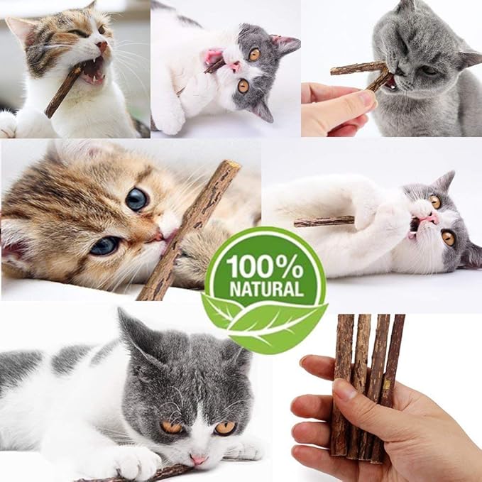 WoLover 10 PCS Cat Catnip Sticks, Natural Matatabi Silvervine Sticks - Cleaning Teeth Molar Tools Kitten Chew Toy Natural Catnip Cats Toy