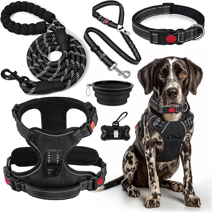 LOBEVE No Pull Dog Harness, Collar & Leash Set | Includes Dog Seat Belt, Collapsible Bowls & Poop Bag Dispenser. Ideal for Training, Walking, Hiking. Fits Small to Large Dogs(Black-S)