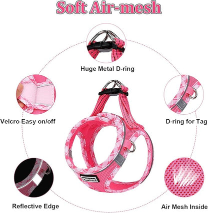 Mercano Soft Mesh Dog Harness and Leash Set, No-Chock Step-in Reflective Breathable Lightweight Easy Walk Vest Harnesses with Safety Buckle for Small Dogs, Cats (XXS, Fuchsia)