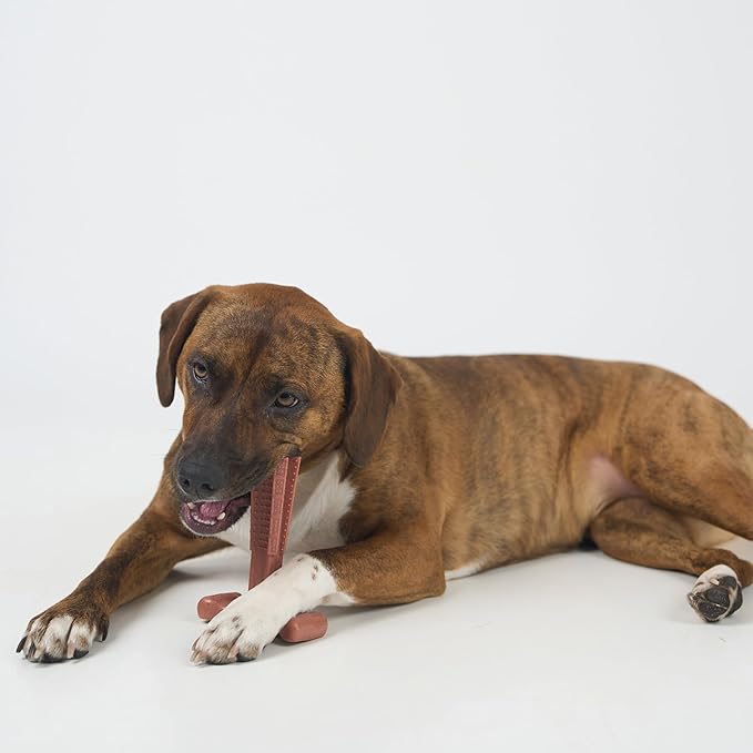 SPOT Bam-Bones Plus Coffee Wood T-Bone Dog Chew Toy, Beef Flavor, Nylon and Coffee Wood Fiber Blend, Durable Chew for Heavy Chewers and Dogs Under 60 lbs, Non-Splintering Dental Chew, 6 Inch