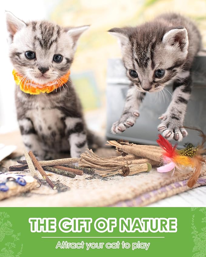 TINDTOP 12 Pack Chew Sticks for Cats, Natural Silvervine Catnip Toys for Kittens Teeth Cleaning, Matatabi Dental Care, Increase Appetite, Calm Cat Anxiety and Stress, Cat Dental Toy