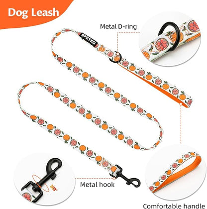 Small Dog Harness and Leash Set of 6, No Pull Soft Lightweight Mesh Puppy Harness， Adjustable Cute Floral Pattern Pet Harness for Small Medium Dogs (Orange, L)