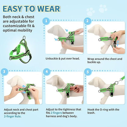 Lukovee No Pull Dog Harness and Leash Set, Soft Padded Small Dog Harness, Neck & Chest Adjustable Reflective Vest Puppy Harness with 4ft Lightweight Anti-Twist Dog Leash for Small Dogs (S, Green)