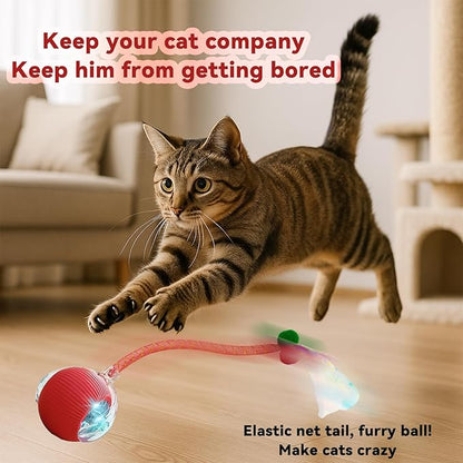 Speedy 2.0 Tail Interactive Cat Toys for Indoor Cats, Automatic Cat Toy with Elastic Mesh Tail, Electric Rolling Ball on Carpet, Chirping and Motion Activate Cat(Grey)